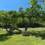 La Casa Dei Ricordi Collesalvetti